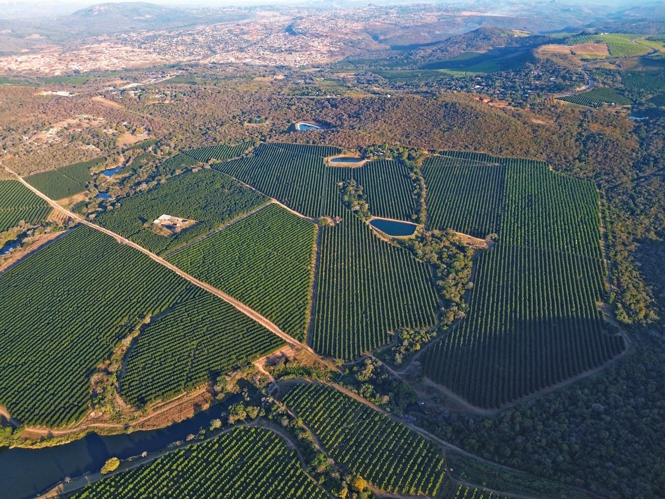 Aerial view of the macadamia blocks stepping down the valley, with the river running along the lower boundary and Hazyview beyond
