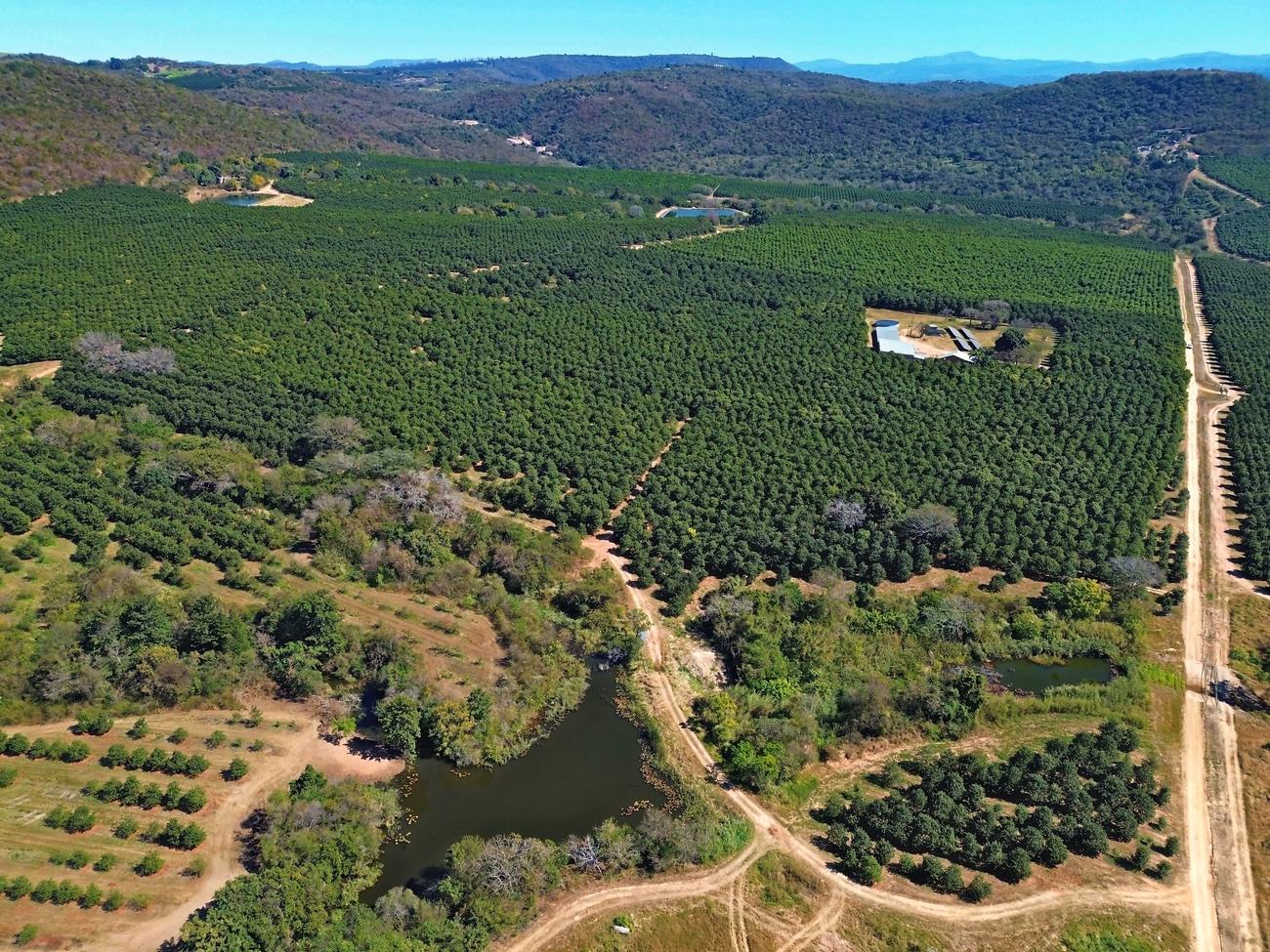 A storage dam ringed by natural bush among the orchard blocks, with the hills of the valley behind