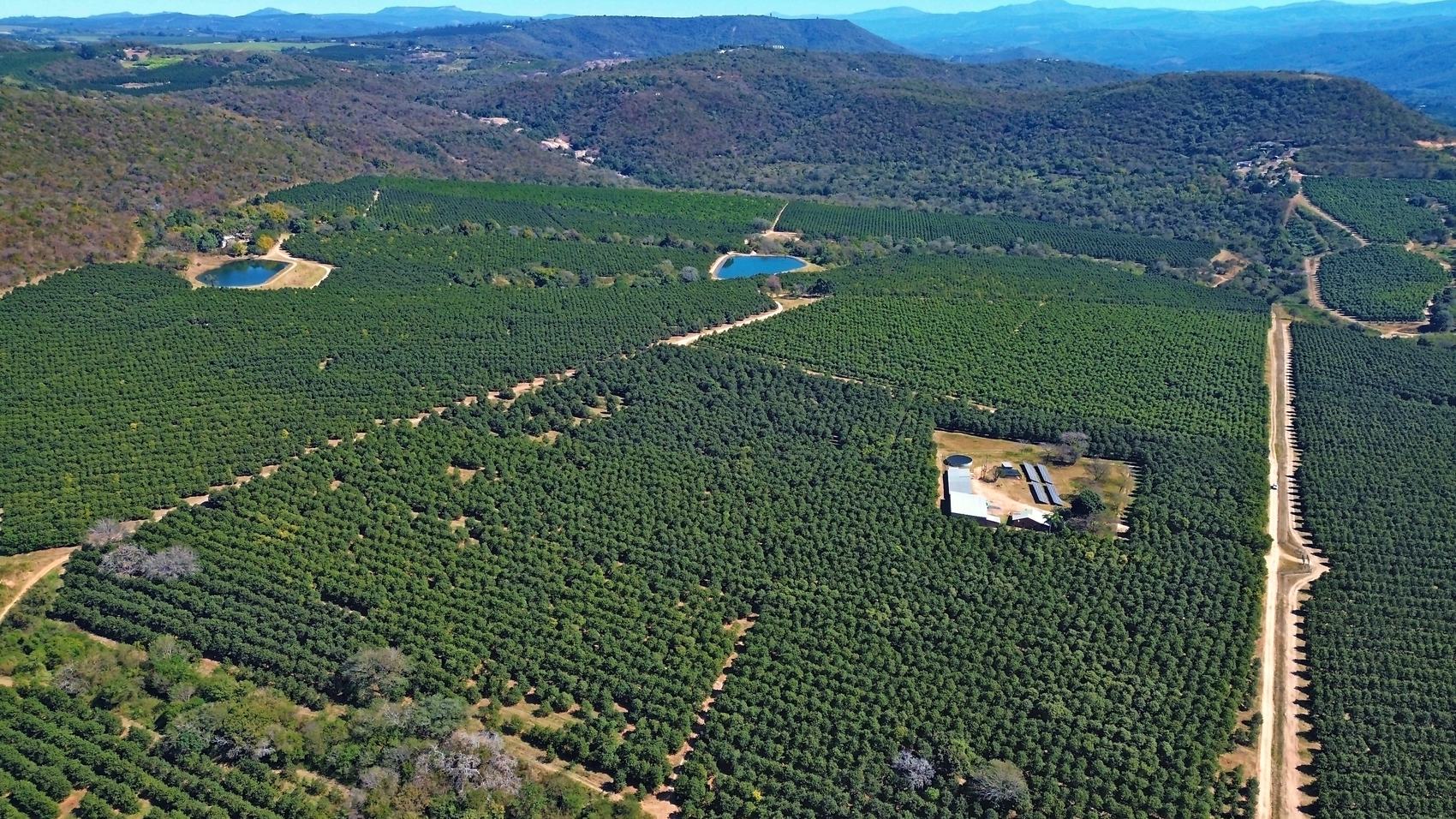Aerial panorama over the orchard blocks and dams toward the layered blue hills of the valley