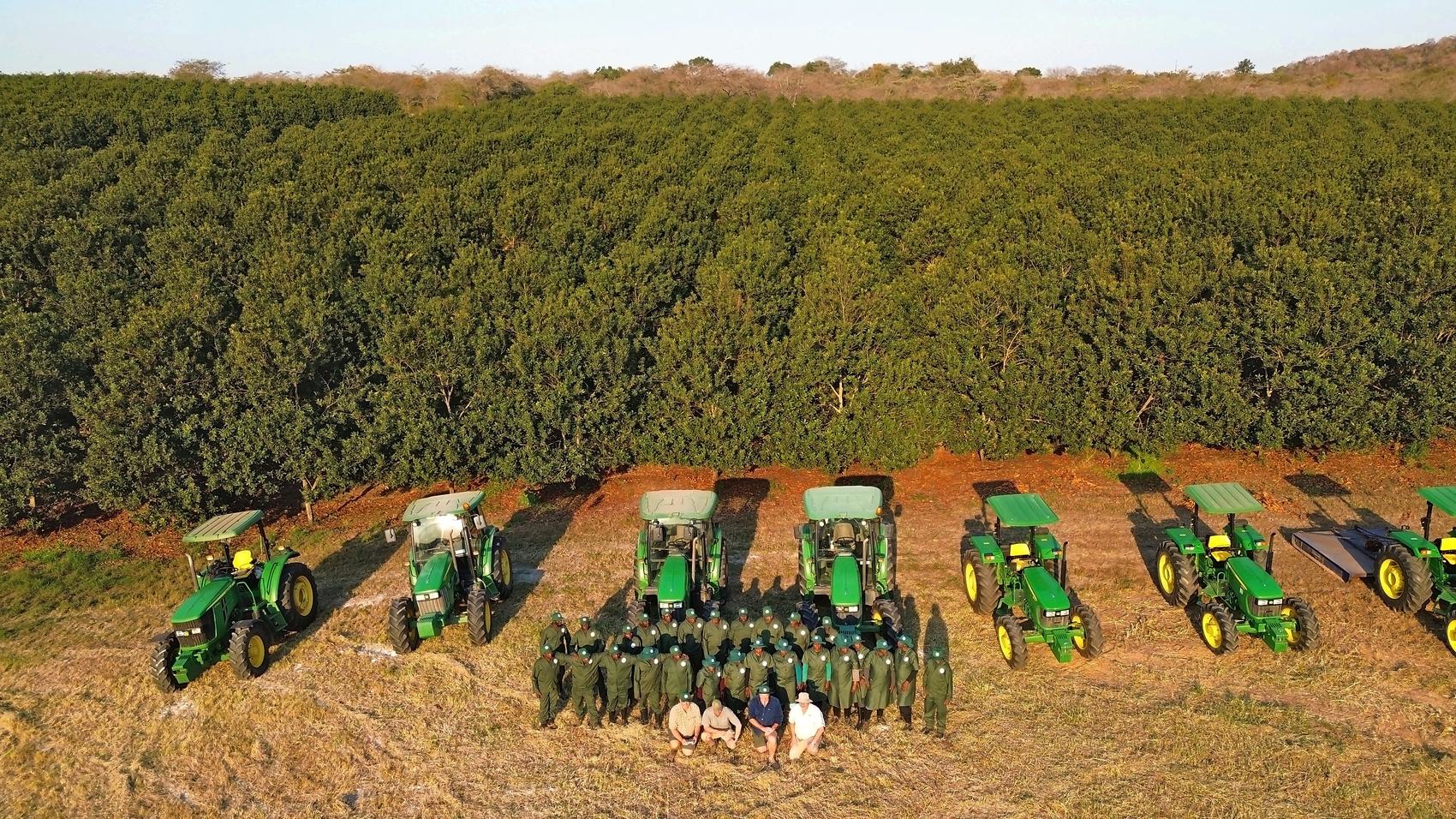 Aerial view of the full Sunstone Valley crew gathered with the tractor fleet along the edge of the macadamia orchard in low evening light