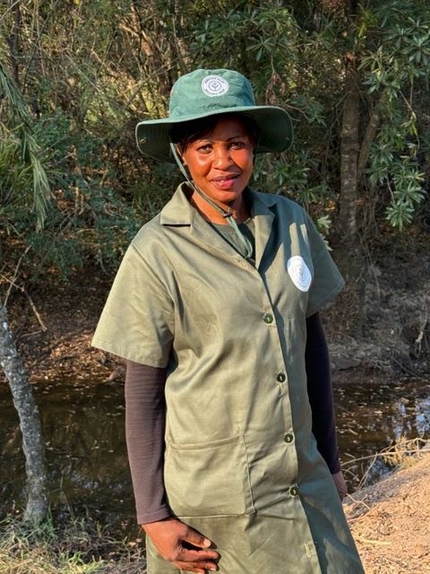 Phikile Maphosa